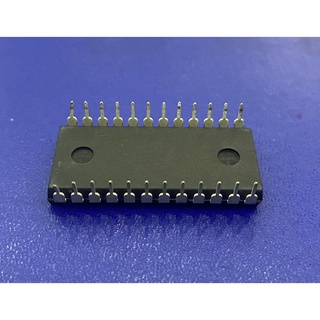 IC ECHO 65831