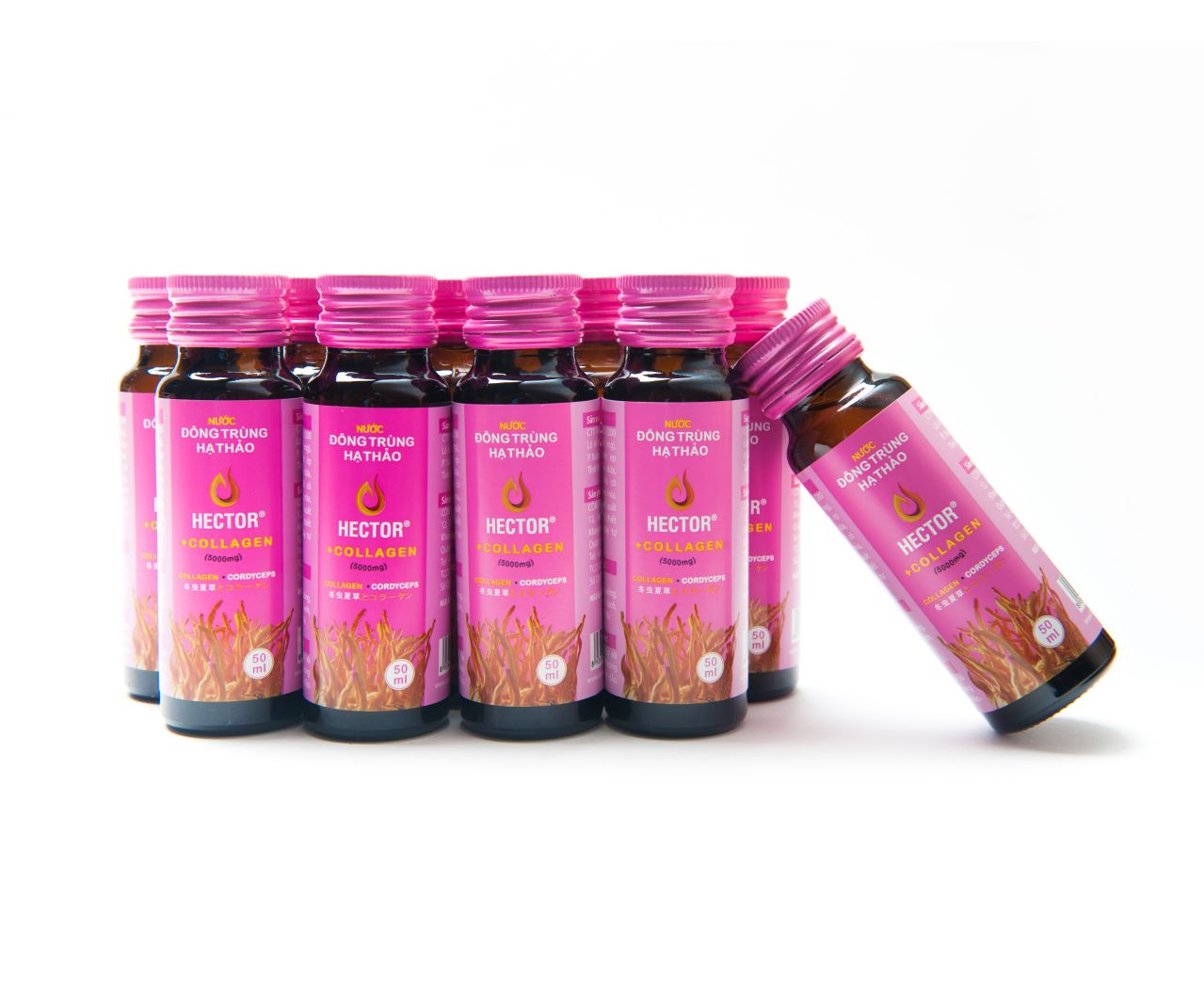 [Chính hãng] Nước Đông Trùng Hạ Thảo Hector Collagen (Hộp 10 chai x 50ml) | BigBuy360 - bigbuy360.vn