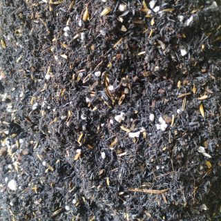 Đất Trồng Sen Đá, Xương Rồng, Cây Cảnh (1kg)