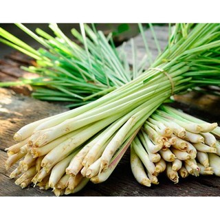 DẦU SẢ PHƯỚC QUẢNG
