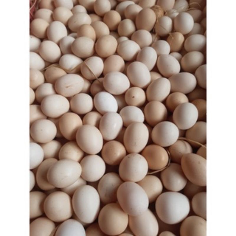 Trứng Gà Ta Thả Vườn Nhiều Lòng Đỏ, Tươi Mới 10 Quả