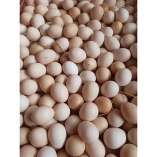 Trứng gà ta thả vườn nhiều lòng đỏ, tươi mới 10 quả