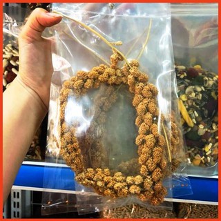 Kê chùm/ kê sợi cho hamster