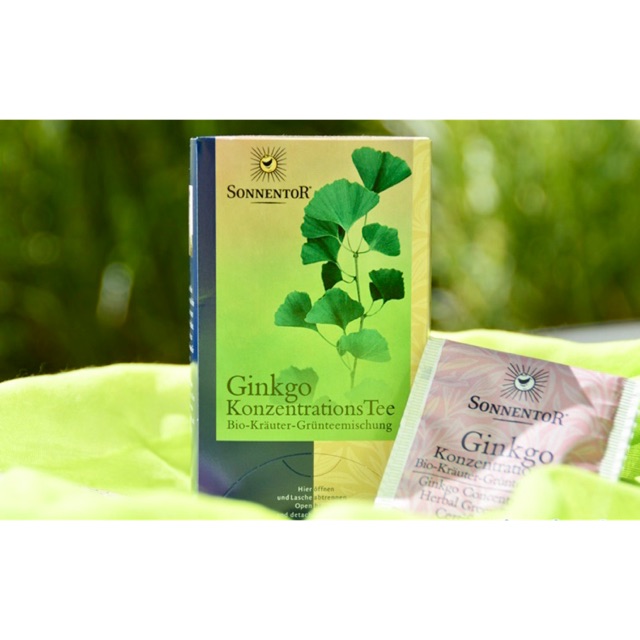 Trà gingko hữu cơ Sonnentor 20gr