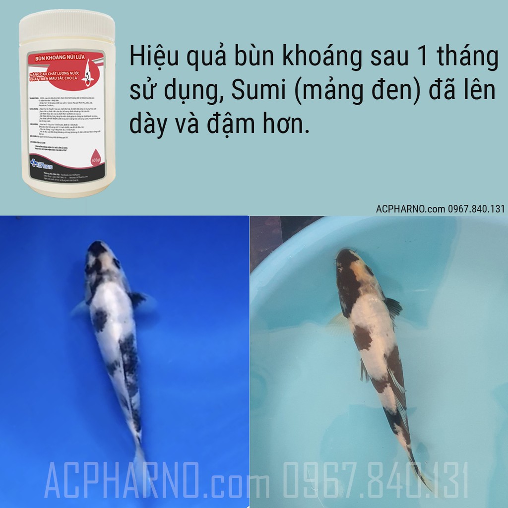 Khoáng núi lửa 100gr Phát triển - Tăng màu sắc cho cá koi, cá rồng, cá vàng, cá cảnh - cá sung ham ăn - cấp khoáng chất