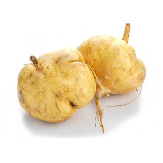 HẠT GIỐNG CỦ SẮN (CỦ ĐẬU) - 10 Hạt/ gói