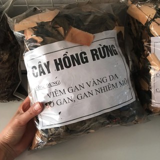 Cây hồng rừng khô