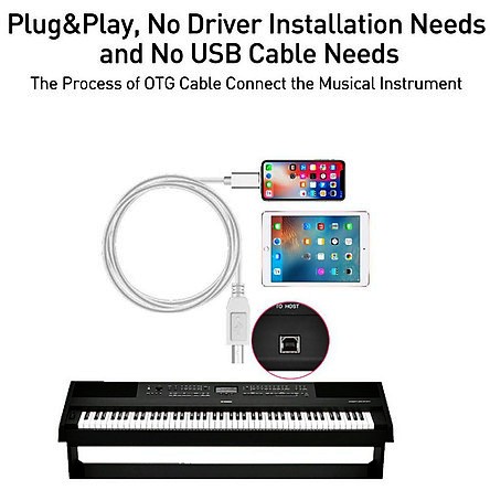 Cáp Chuyển Đổi Midi USB OTG Type B Cho Iphone, Ipad với Đàn Organ, Piano, Nhạc Cụ...