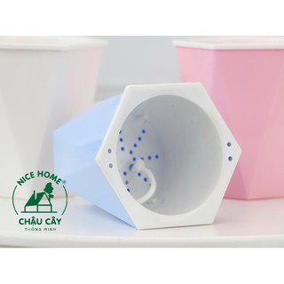 Chậu cây tự dưỡng thông minh - U09