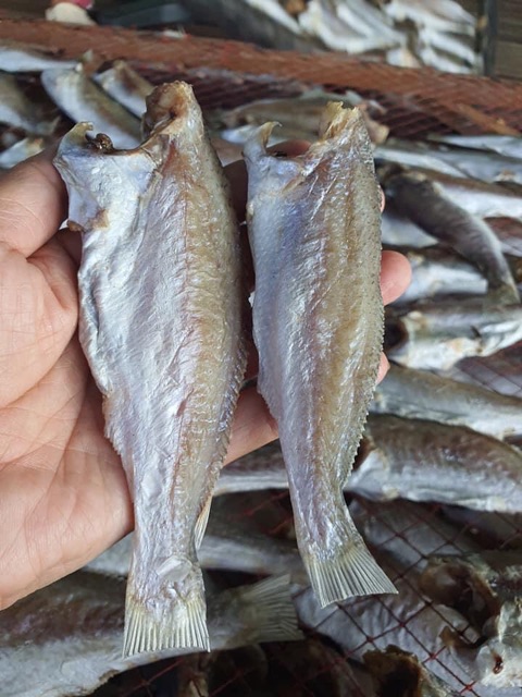 Khô Cá Lù Đù Lớn 1kg ( vị mặn) | BigBuy360 - bigbuy360.vn