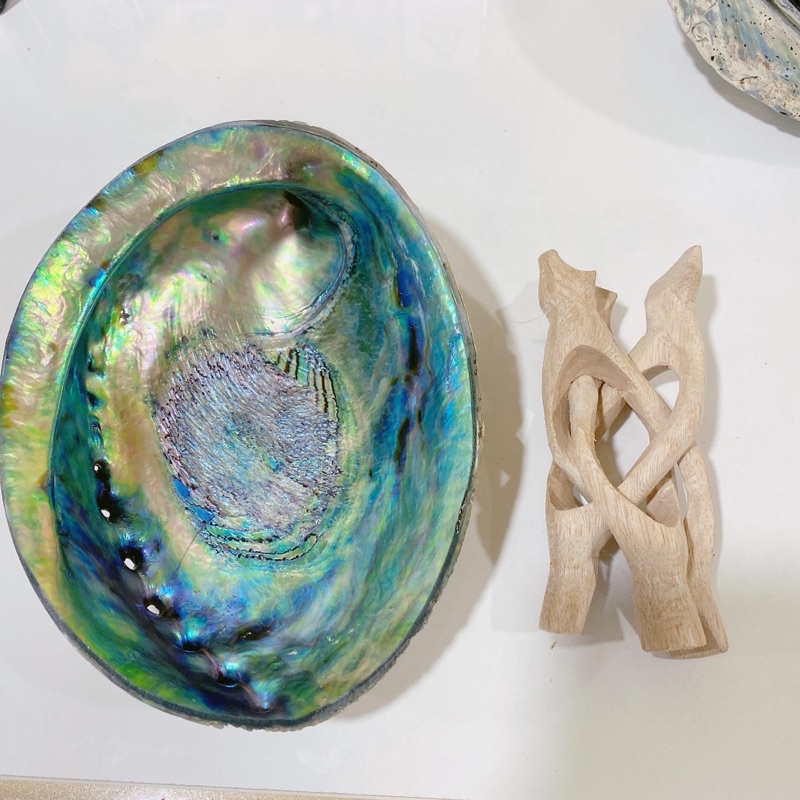 Đĩa ốc xà cừ New Zealand thiên nhiên - Natural Abalone Shell