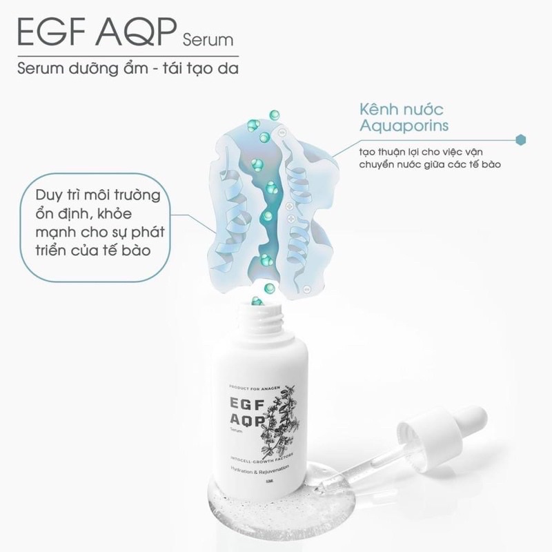 Tinh chất serum siêu tái tạo da thần tốc EGF AQP