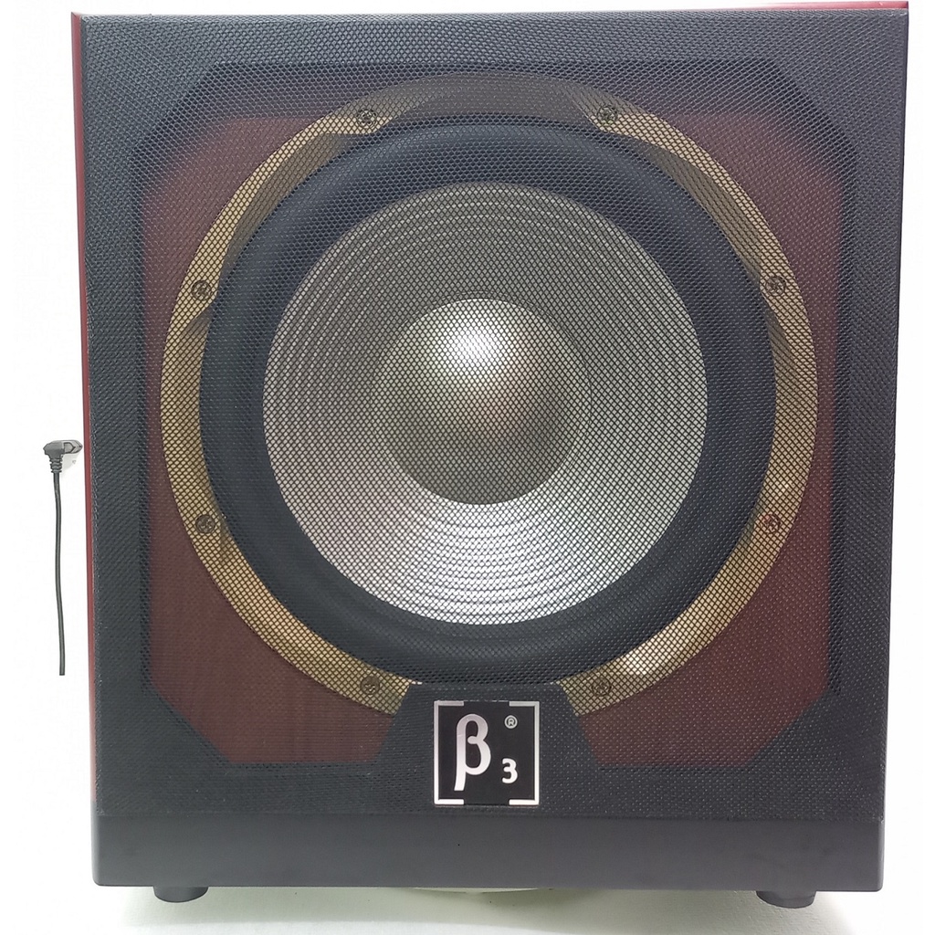 Loa Sub Điện B3 từ kép rất uy lực