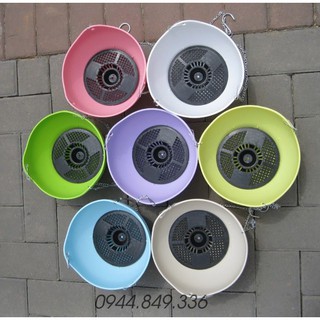 COMBO 10 CHẬU SIÊU RẺ