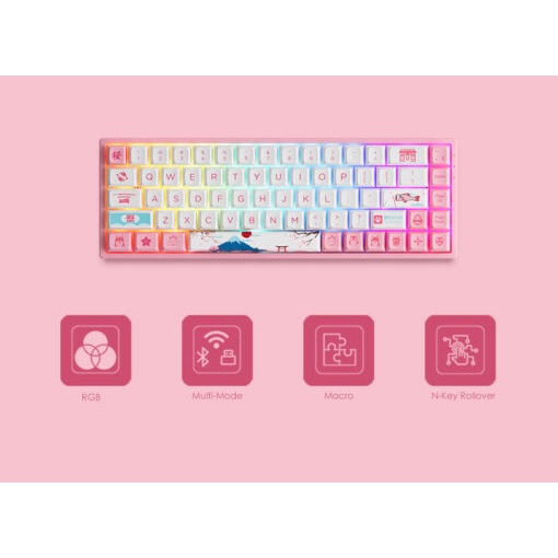 Bàn phím cơ AKKO 3068B Plus World Tour Tokyo R2