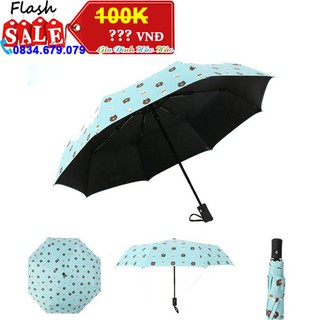 Ô GẤU GẤP GỌN MÀU XANH