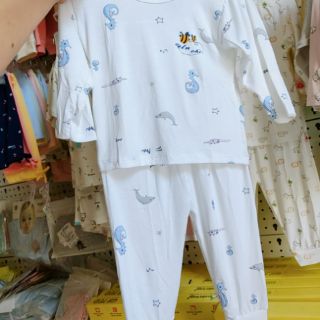 Bộ unchi cotton sợi tre