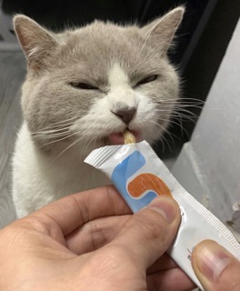 Súp Thưởng Snacks Pet