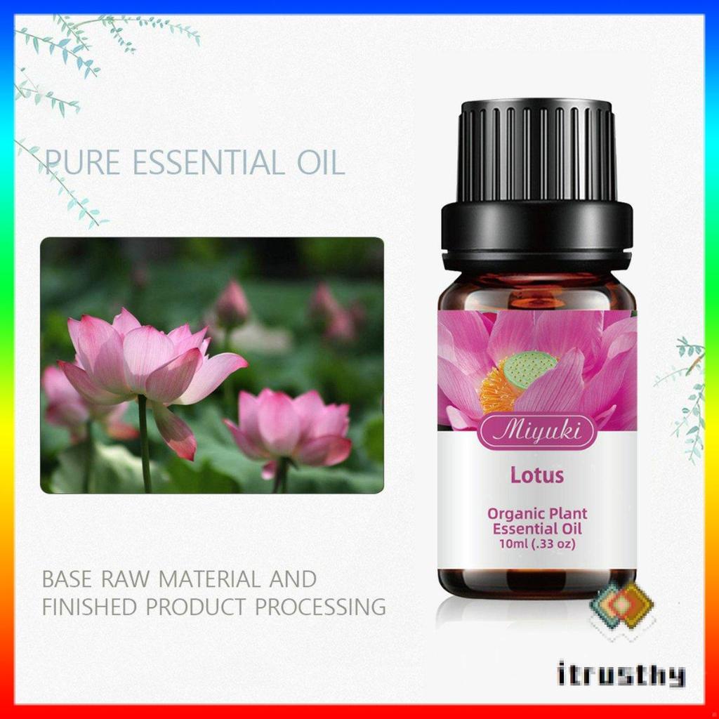 Tinh dầu hoa sen trắng hòa tan trong nước dùng để chăm sóc da