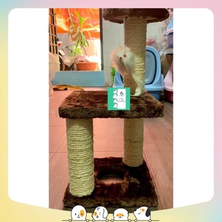 Trụ cào móng mèo