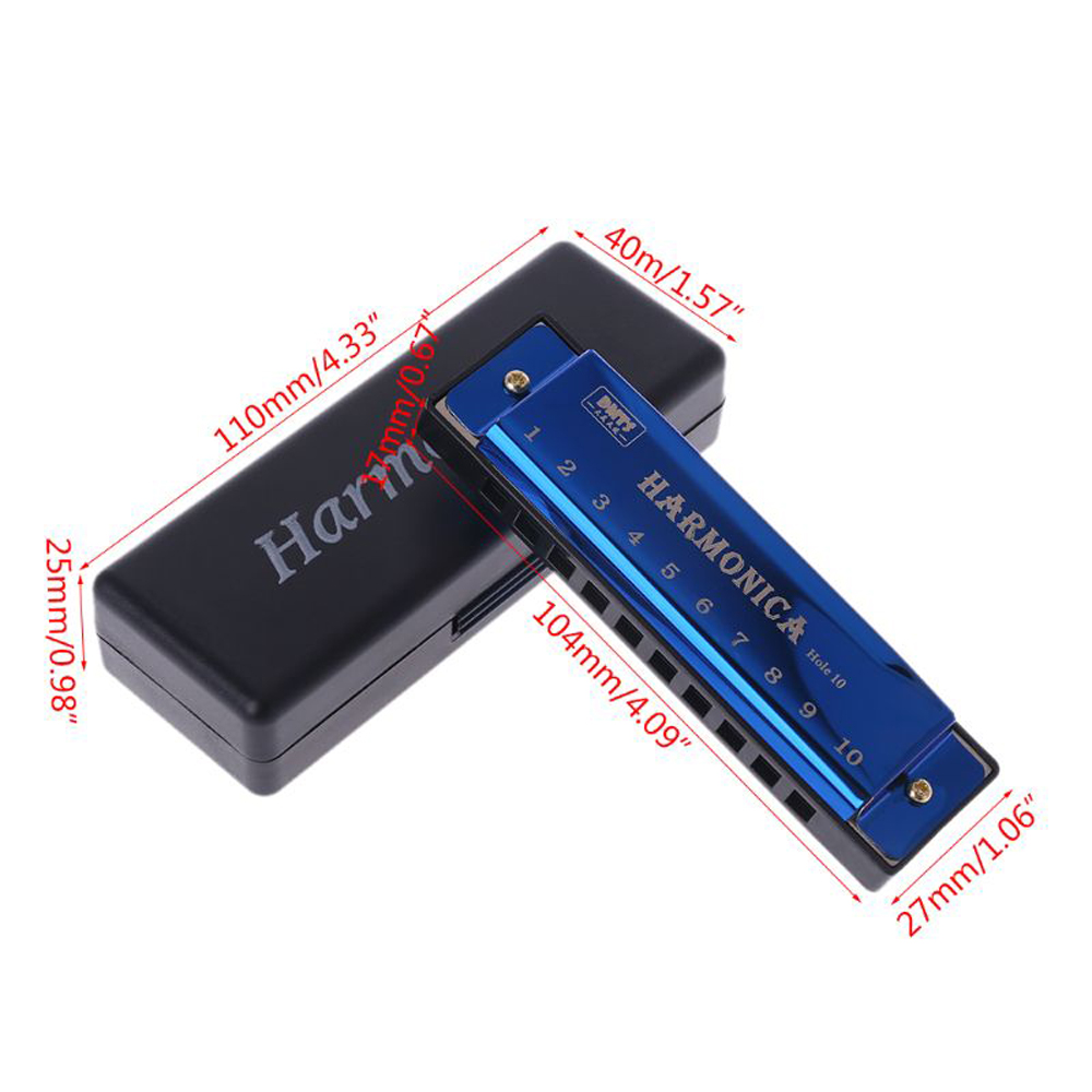 Kèn Harmonica 10 Lỗ Bằng Kim Loại Nhiều Màu Cho Người Mới Bắt Đầu