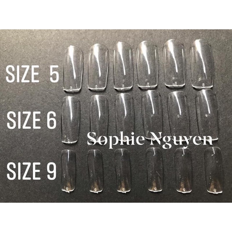 Móng úp vuông lẻ size màu trong HSM