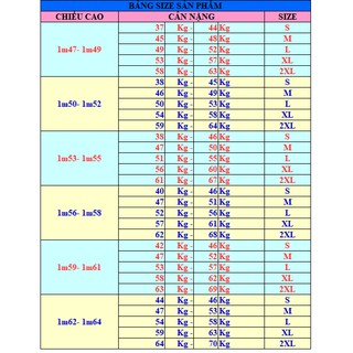 Áo Sơ Mi Nữ Phi Lụa Cao Cấp