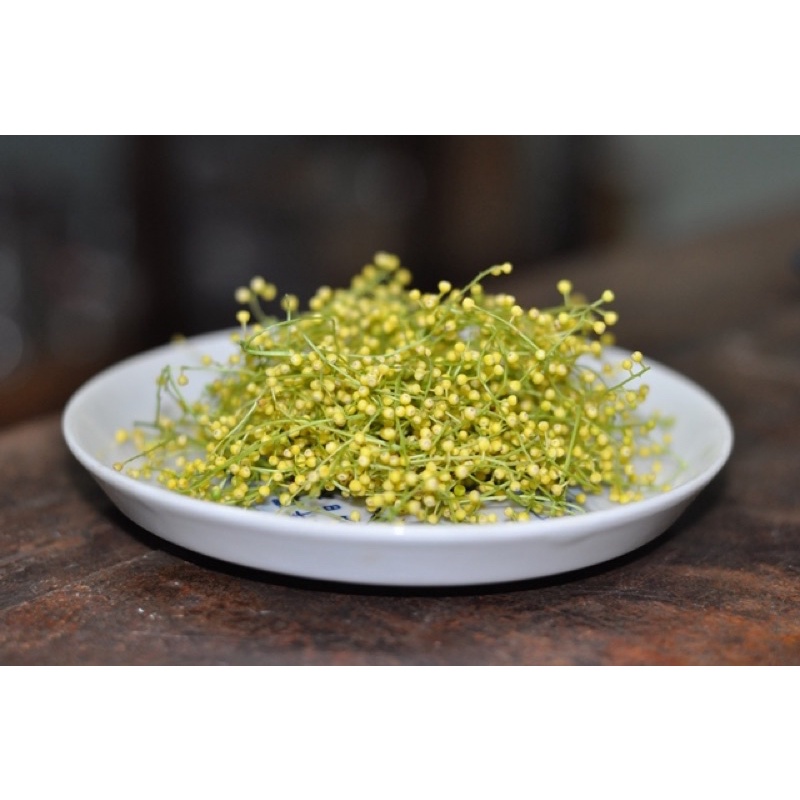 Cây hoa ngâu giống, rễ mạnh