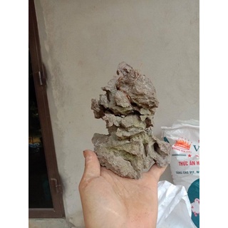 Đá ghép cây bonsai mini,trang trí bể cá cảnh (1kg)