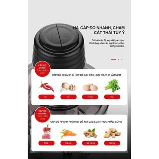 MÁY XAY THỊT RANBEM