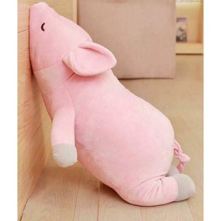 Gấu bông gối ôm lợn hồng cao cấp