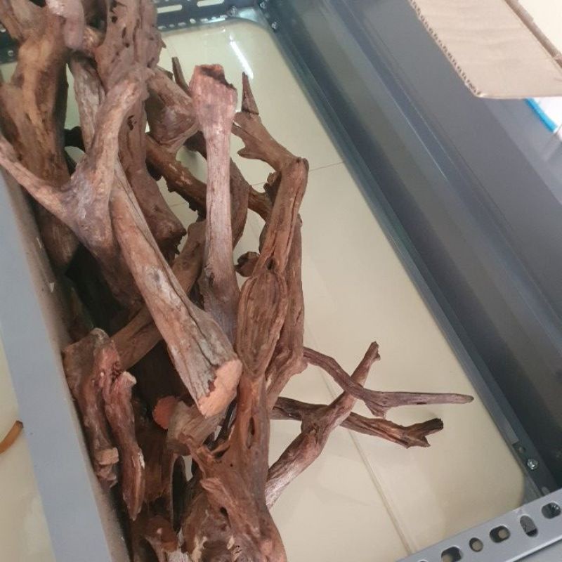 Lũa San Đá dùng trang trí tiểu cảnh, thủy sinh,terrarium....