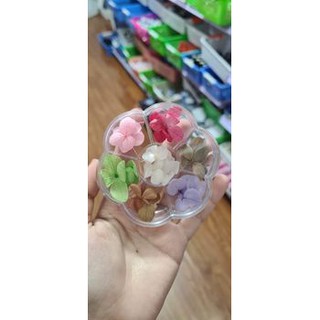 hoa khô Cánh mỏng trang trí ẩn móng
