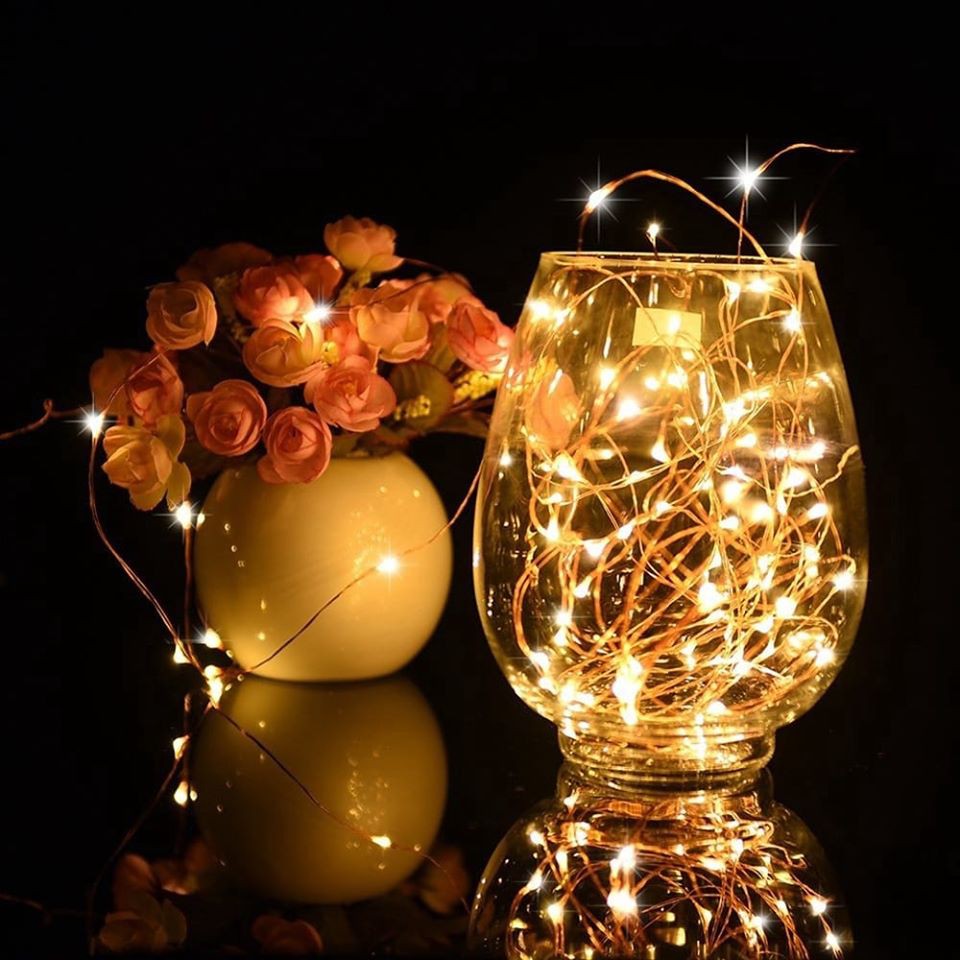 Đèn Led Xài Pin Không Chớp Nháy Dài 3M 30 Bóng Đèn Led Fairy Light Trang Trí Quấn Cây Đào Quất Sân Vườn Noel Lễ Tế