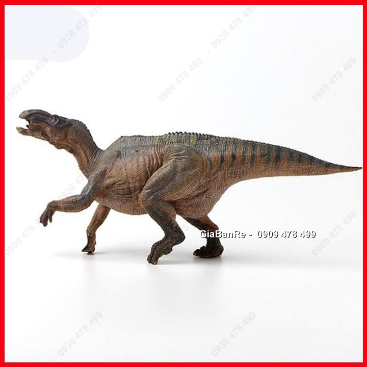 Mô Hình Khủng Long Ăn Cỏ Chân Chim Iguanodon - 7721.1