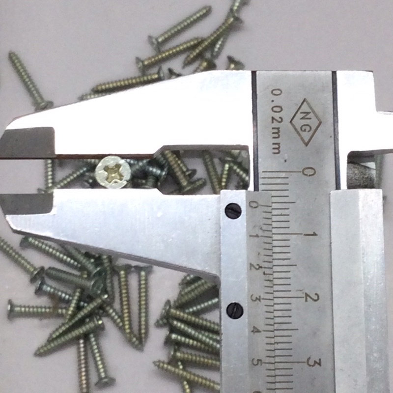[Túi 100 cái ] Vít gỗ 3x20mm 4x10mm đầu bằng (đầu chìm) - sắt (tôn)