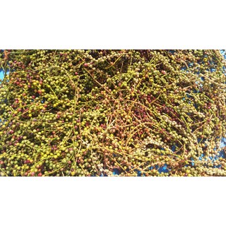 trái đủng đỉnh khô 1kg