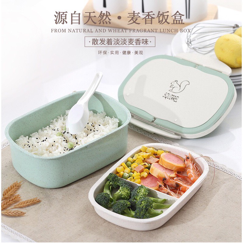 HỘP CƠM LÚA MẠCH CAO CẤP KÈM THÌA