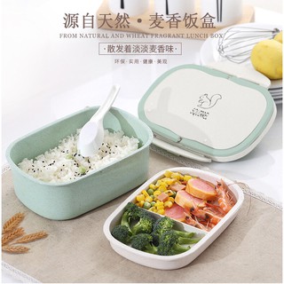 Hộp cơm lúa mạch cao cấp kèm thìa