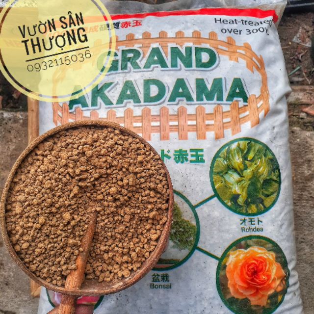 Đá Akadama 1kg Gía thể Trộn Đất Trồng Sen Đá, Cây Cảnh,..