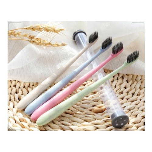 Bàn chải lúa mạch