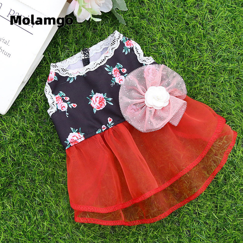 Đầm Hoa Thiết Kế Mới Thời Trang Theo Phong Cách Hàn Quốc Cho Mèo Cưng