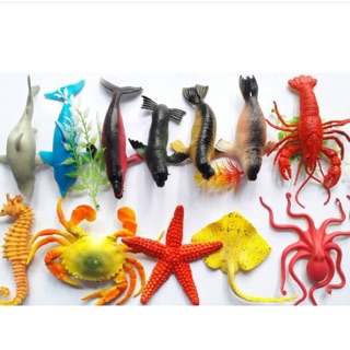 Bộ sinh vật biển