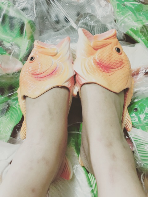 Dép cá ( Hàng sẵn )