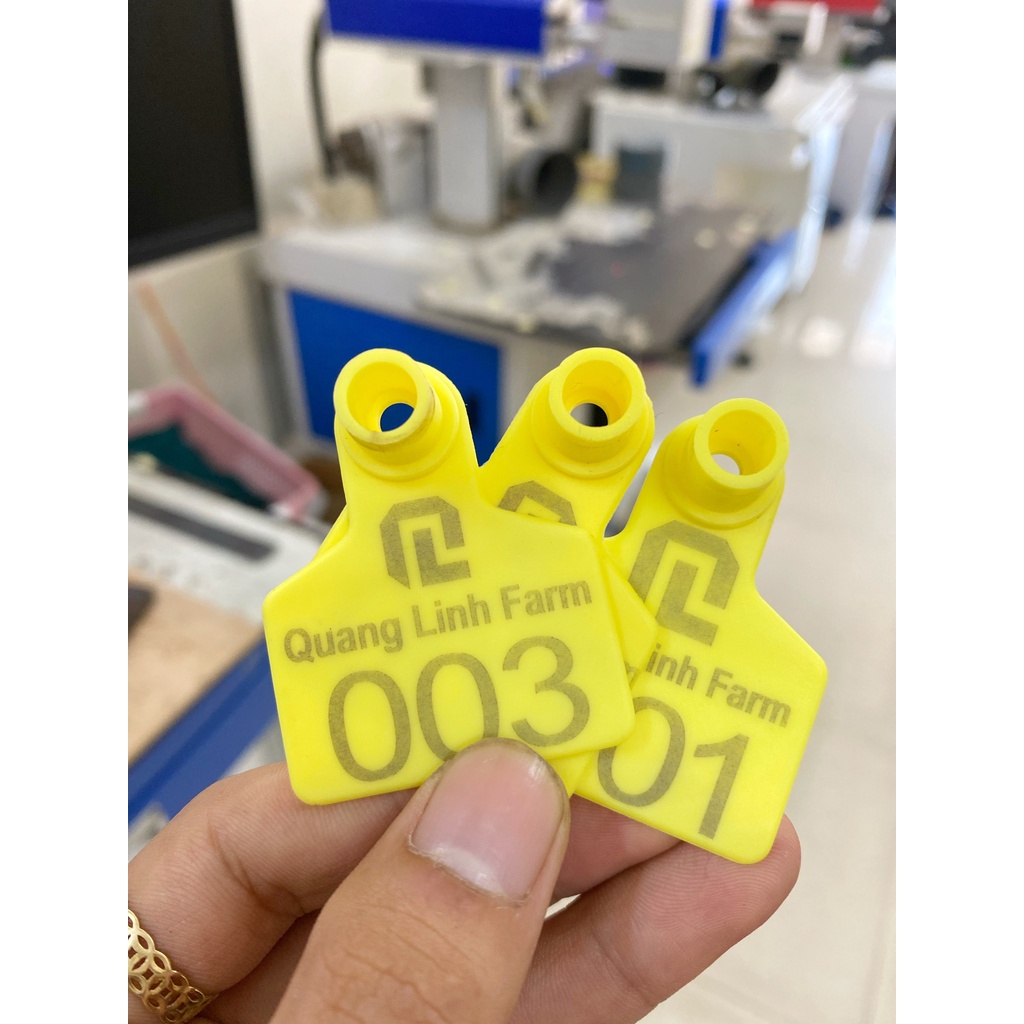 Thẻ tai bò dê Dương ninh in theo yêu cầu TT62