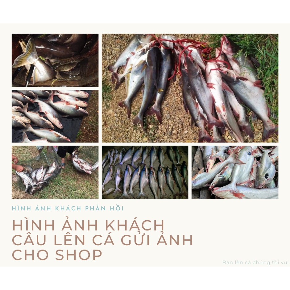 Mồi Câu Cá Tra sử dụng để câu mồi cám,mồi bún,mồi cháo cực kì hiệu quả.
