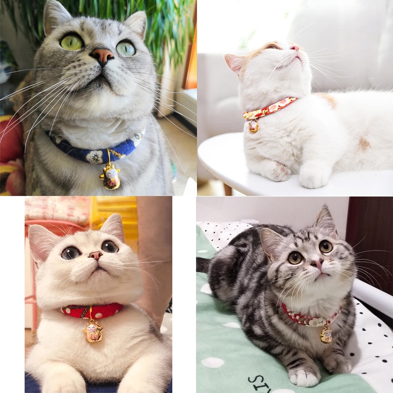 Vòng cổ thú cưng có chuông xinh xắn