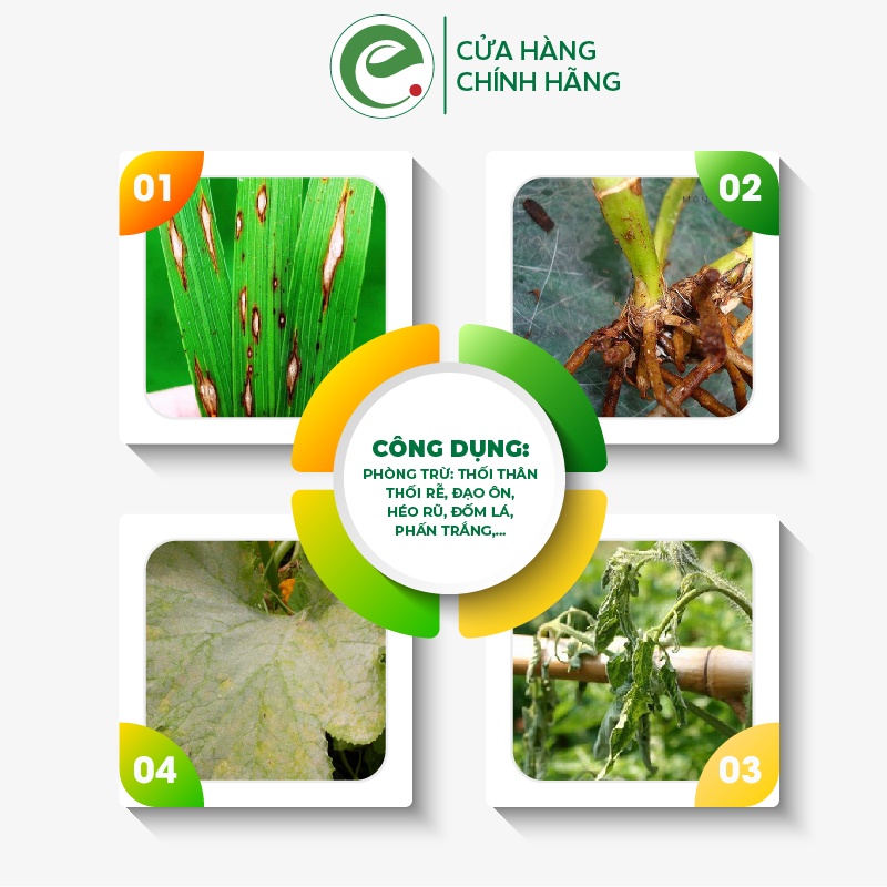 Trừ nấm sinh học cho ớt cà chua rau sạch, thán thư thối rễ sương mai, phấn trắng, trừ nấm Ketomium 500ml Ecom