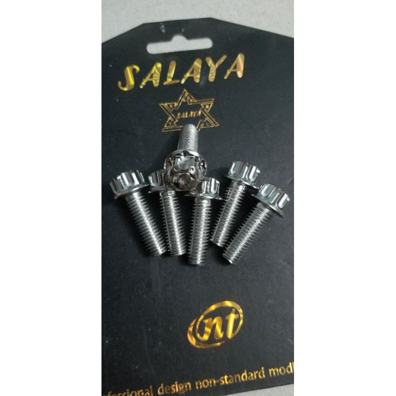 ốc salaya 10ly