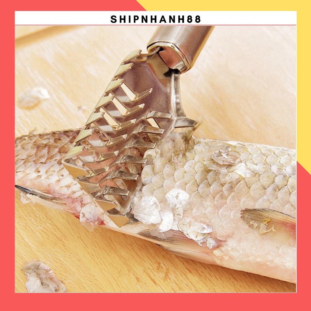 Dụng Cụ Lóc - Đánh Vảy Da Cá 88211 shipnhanh88